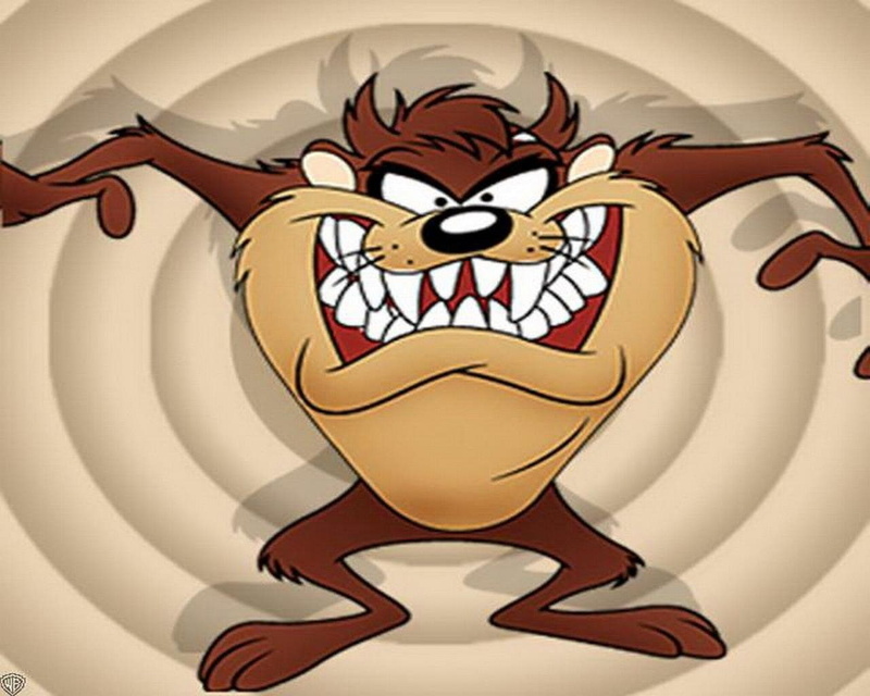 720P, Tasmanian Devil (Looney Tunes), TV Show, Looney Tunes