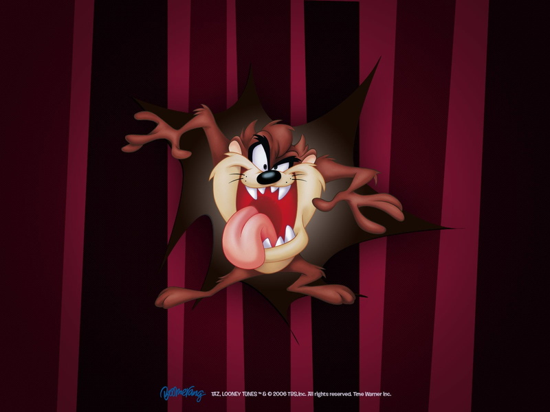 720P, Tasmanian Devil (Looney Tunes), TV Show, Looney Tunes