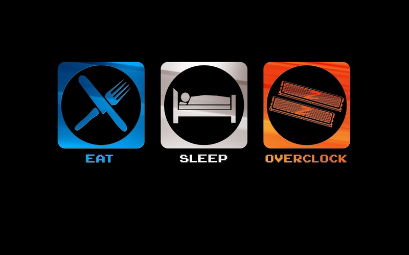 humor, sleeping, simple background, overclocking, minimalism, eating, geek, 2K