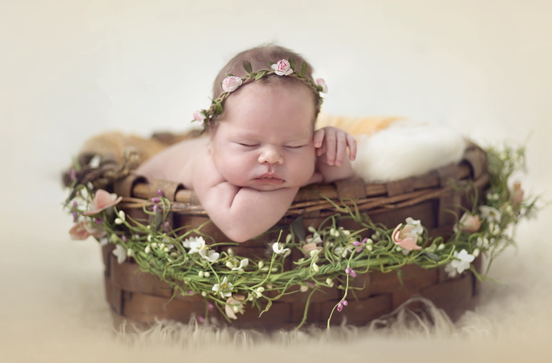 baby, Cute baby, rose, Sleeping, headdress, HD, Wreath, basket, 2K, pink