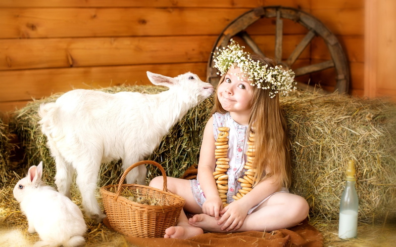 Basket, Wreath, 1080P, Rabbit, Eggs, Goat, Cute, Joy, Girl