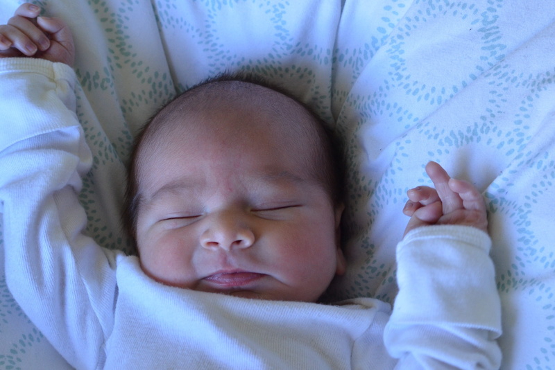 fragility, person, little, love, new life, sleeping, photography, young, real people, sleeve, boy, new, 4K, sweet, babyhood, white, small, wrapped in a blanket