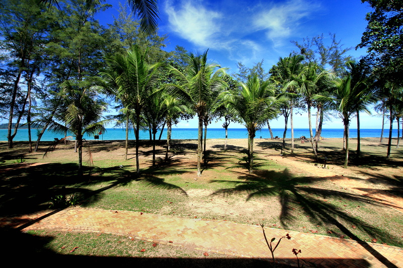 sea, sigma, terengganu, near, hotel  beach, palm Tree, photography, baby, landscape photography, ooi, malaysia, outdoor, holiday, pantai, daytime, 20mm