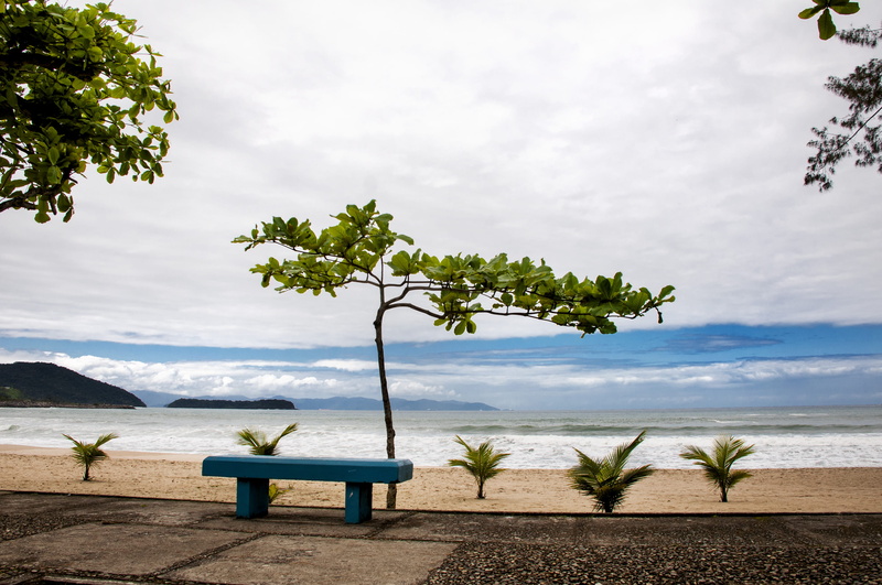 bench, plant, 4K, scenics - nature, angra dos reis, blue, day, chair, tree, seat, horizon over water, palmtree, sky, horizon, no people, land, nature