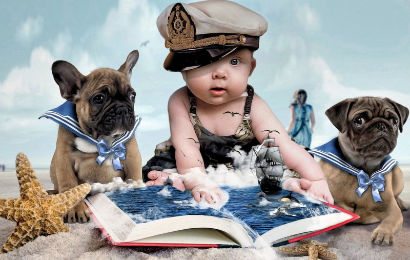 Dog, Manipulation, Beach, Baby, 720P, Photography, Ship