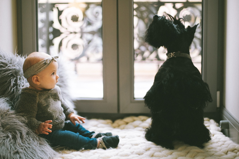 sitting, focus on foreground, terrier, room, window, females, dog, baby, women, hairstyle, warm clothing, beside, 5K, innocence, pet, people, childhood