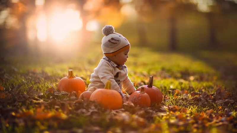 gray, nature, young, offspring, baby Girls, white, s, cheerful, full length, season, yellow, small, joy, magic Trick, halloween, food, smiling, child, one person