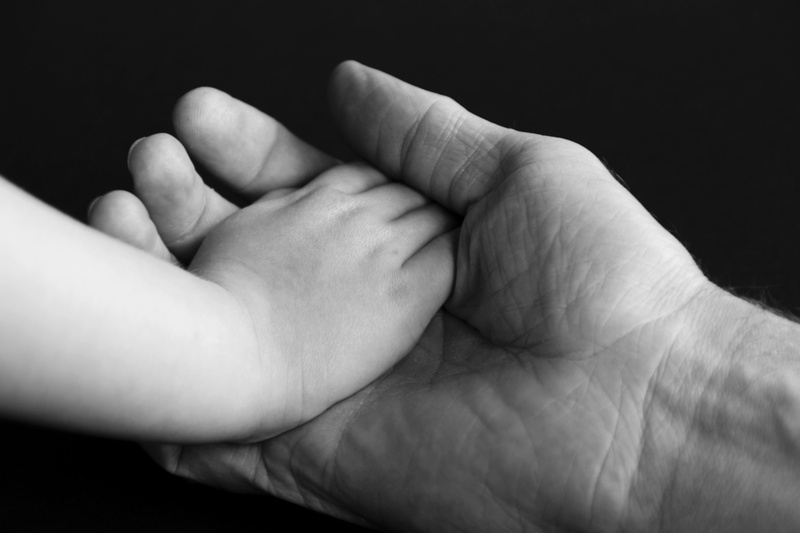 new Life, body part, love, child, human body part, detention, adult, human Hand, photo, affection, human, skin, hands, emotion, care, trust, responsibility