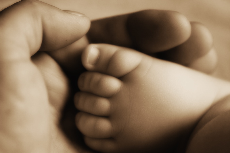 indoors, kid, birth, young, sepia toned, selective focus, soft, innocent, people, human, studio shot, foot, feet, tiny, human foot, boy, skin, care, little