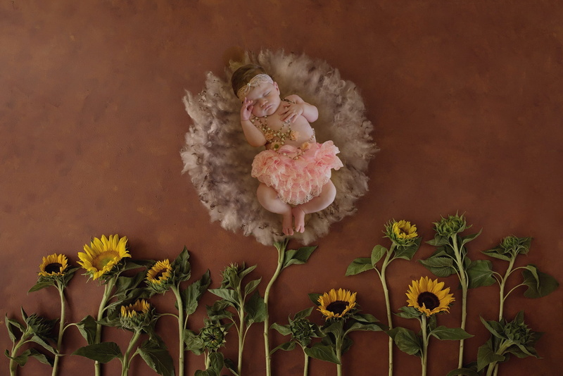 lovely, sleep, propped, cute, nature, young, small, lying, portrait, infant, child, no people, flower, posed, little, fragility, fur, baby, pink color