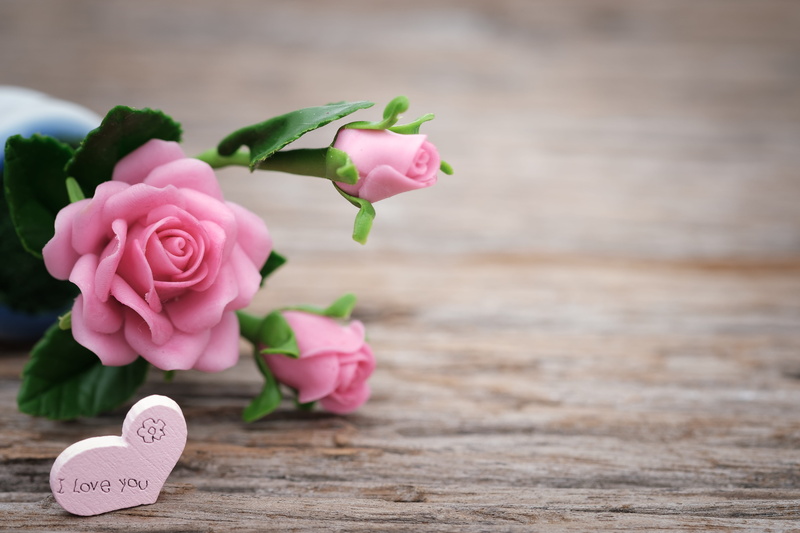 photo, mothers day, valentines day, pink, roses, vulnerability, inflorescence, petal, happy mothers day, flowers, blossom, heart, nature, 5K