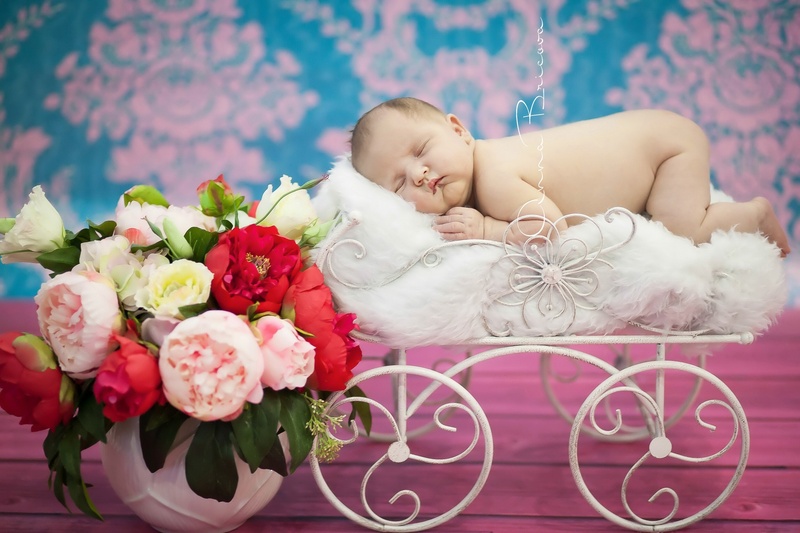 innocence, flower arrangement, flower head, bouquet, baby, young, top, vulnerability, the little girl, people, nicely, nature, 1080P, real people, one person