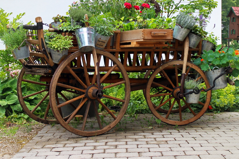 art, plant, transportation, mode of transportation, retro, wagon wheel, garden, wood - Material, no people, bucket, flowers, design, flower, carriage, outdoor