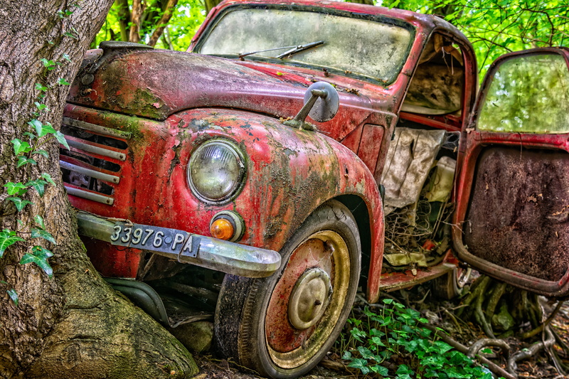 car cemetery, day, damage, metal, paint damage, rusty, daytime, obsolete, tree, car wreck, battered, red, 5K, scrap, ruined, deterioration, stainless