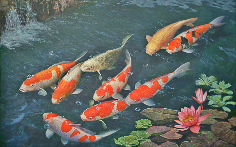 group of animals, water, ocean, school of fish, outdoors, carp, nature, 1080P, no people, animals in the wild, high angle view, day, marine, animal themes