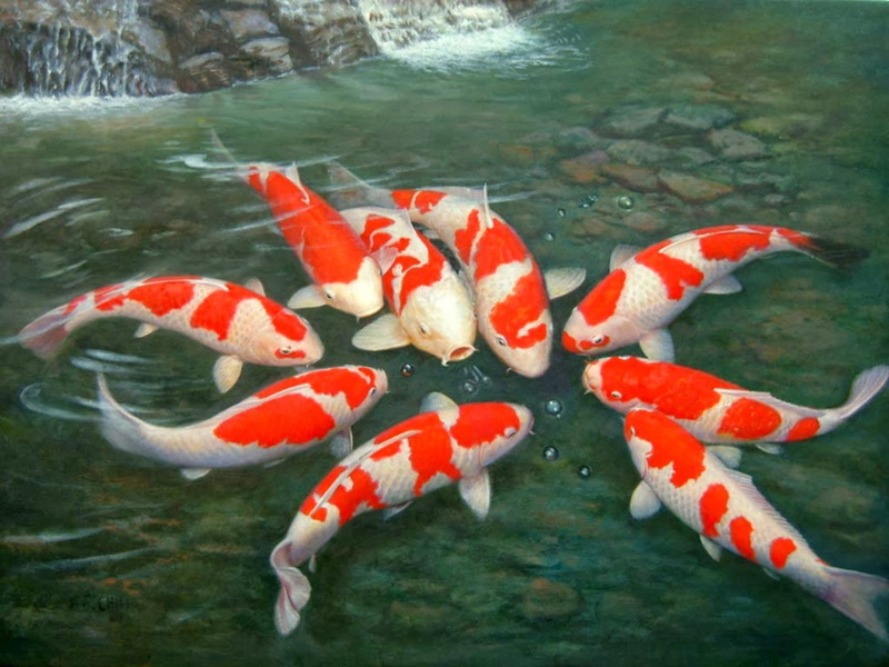 group of animals, ocean, marine, lake, carp, sea life, fishes, no people, sealife, school of fish, nature, sea, animal, fish, swimming, animals in the wild