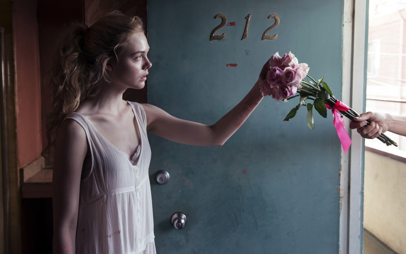 holding, blackboard, leisure activity, plant, flowering plant, posters, fanning, movies, neon, women, waist up, 2K, elle, young adult, teenager, hd, young women