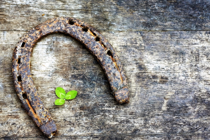 animal themes, wood - Material, st, plant part, shoe, rusty, green, leaf, brown, outdoors, metal, close-up, backgrounds, wooden, wall - building feature