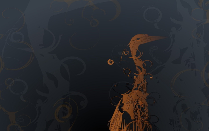 ubuntu, heron, 8 04, 720P, hardy