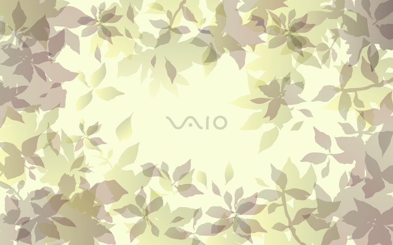 plants, leaves, 720P, Sony, VAIO