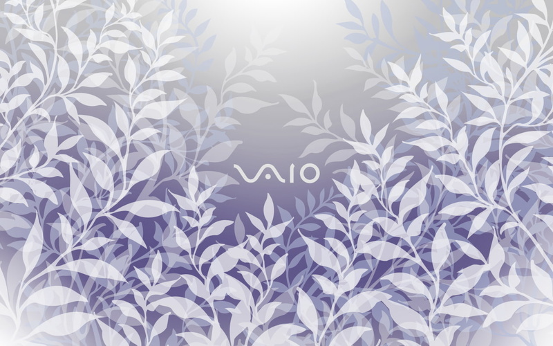 720P, VAIO, Sony, white, leaves