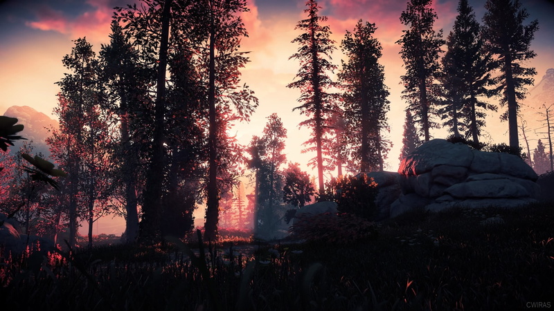 silhouette, tranquility, nature, sky, outdoors, tree, sun, Sony, growth, scenics - nature, screen shot, horizon, video games, PlayStation 4, land, sunset