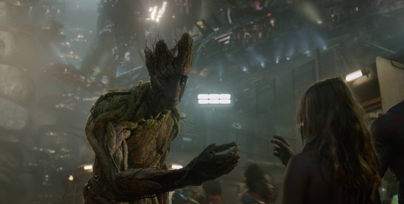 Vin Diesel, Chamomile, Groot, presents, 1080P, Guardians of the Galaxy