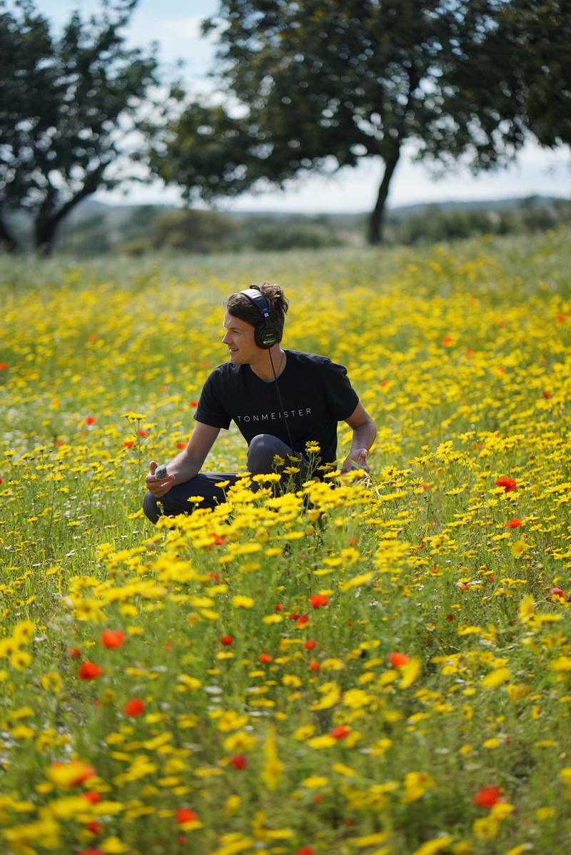 growth, bloom, cyprus, sound recording, day, nature, sony, flowering plant, flower, front view, dpa, beautiful, summer, sky, 4K, casual clothing, selective focus
