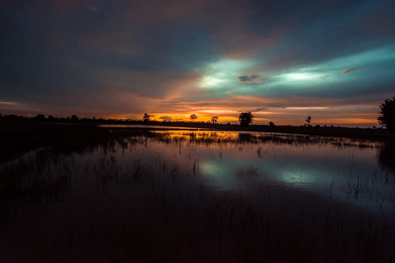 the job, plant, agriculture, tranquility, the scene, laos, for farming, rice, cambodia, Outside, in the country, beauty in nature, silhouette, farm, farmland