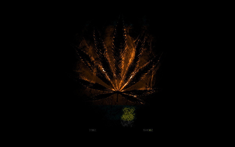 firework display, firework - man made object, Weed, outdoors, dark, Artistic, studio shot, 720P, exploding, celebration, event, black background, glowing