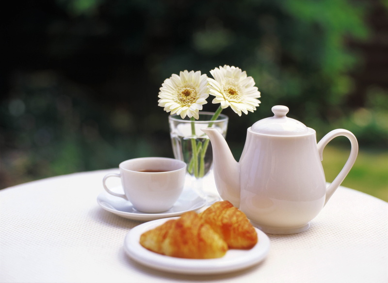 white, hot drink, glass, food, plate, black tea, tray, flowers, cup, flower, coffee - Drink, spoon, non-alcoholic beverage, nature, cultures, saucer, white color