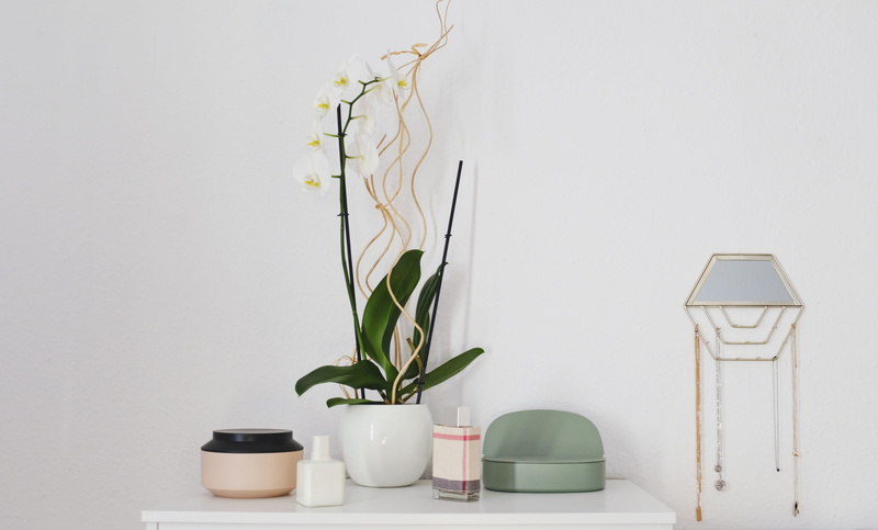 minimal, potted plant, accessories, white background, plant part, plant, ornament, orchid, table, flower, white color, interior design, blossom, leaf, flowering plant