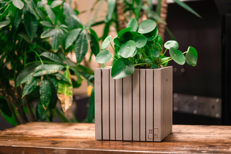 coffee bar, green, boundary, day, jar, focus on foreground, growth, green color, houseplant, green living, focus, copenhagen, outdoors, nature, potted plant