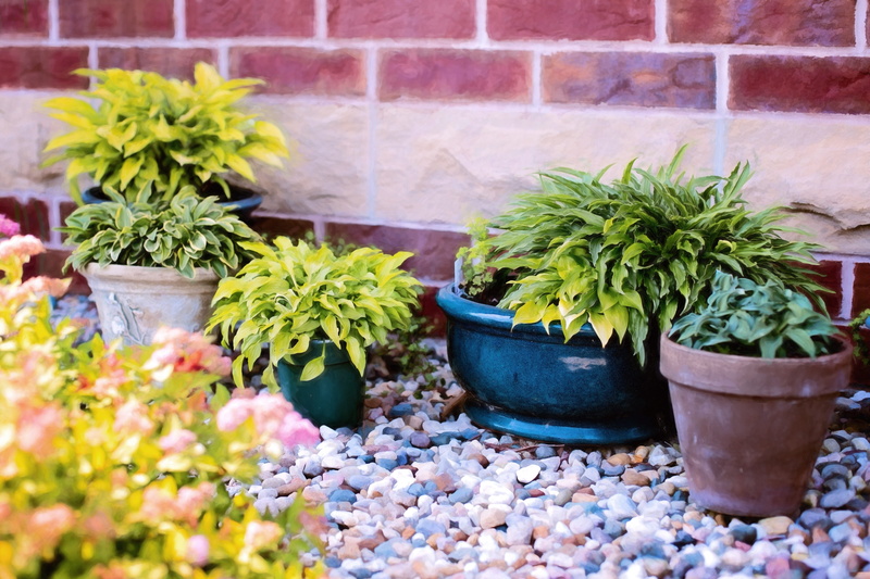 brick, brown, container, flowerpot, green, 5K, plants, nature, wall - building feature, plant, potted plant, leaf, wall, beauty in nature, green color
