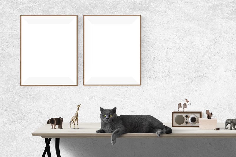 poster, wall - building feature, mammal, mockup, domestic, poster mockup, desk, black, photo, top, 5K, portrait, rack, frame, white, presentation, pets