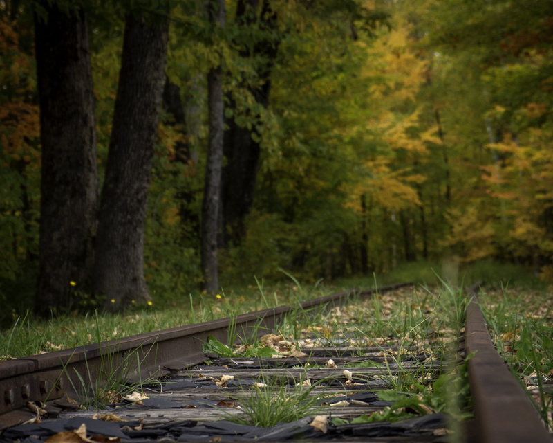 rail transportation, pottery, tranquility, vegetation, transportation, tranquil scene, plant, 2K, jar, boardwalk, direction, surrounded, the way forward
