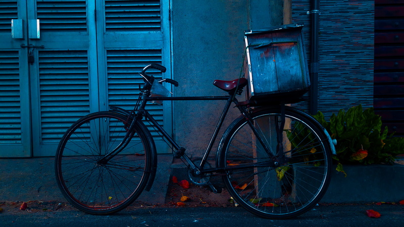 flora, vehicle, vase, mode of transportation, land vehicle, fixie, parking, 4K, pottery, wheel, building exterior, chair, bowl, black, bike, leaning, bicycle
