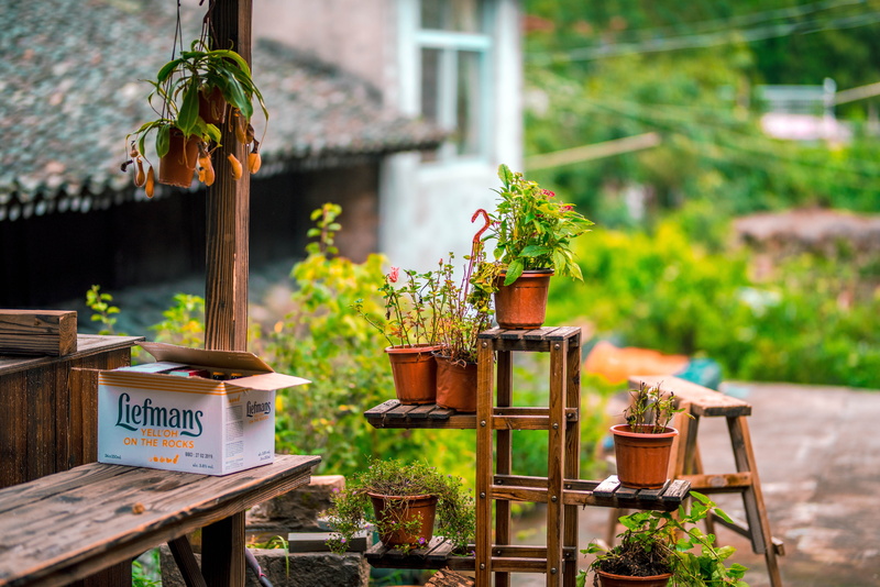 rack, table, 5K, focus on foreground, potted plant, wood, text, tree, day, blur, soil, communication, flower pot, no people, wood - material, plant, vase