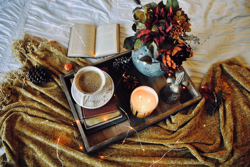 4K, flower, pottery, book, table, cup, flowering plant, food, spoon, jar, freshness, flora, breakfast, decor, beside, potted plant, healthy eating, blanket