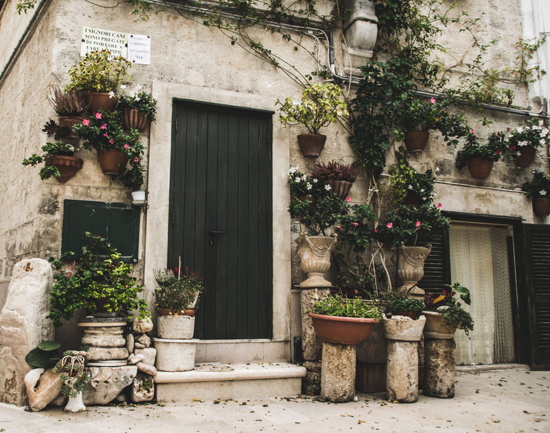 outdoors, flowering plant, nature, residential district, window, plant, backyard, building, building exterior, day, pottery, wheel, housing, entrance, place of worship