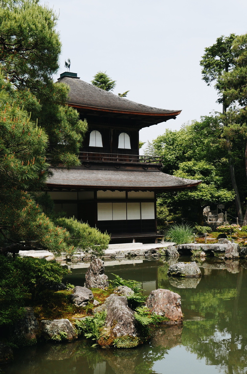tree, building exterior, water, lake, outdoors, building, temple, bonsai, flora, spirituality, no people, belief, pottery, taking, waterfront, day, conifer