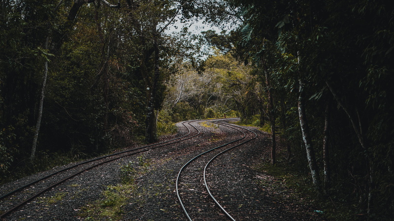 yew, growth, 5K, vanishing point, rails, empty, conifer, tree, road, the way forward, tranquility, plant, railway, railroad track, diminishing perspective