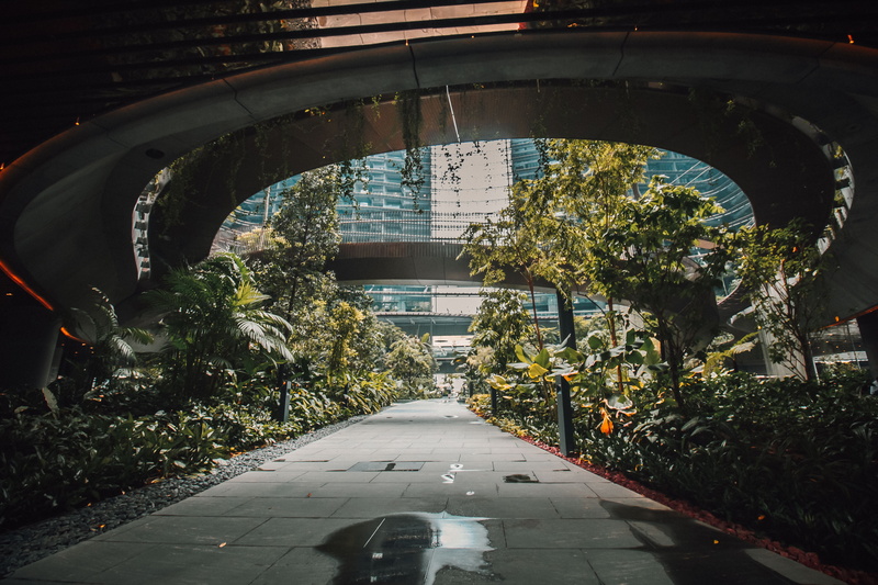 pathway, plants, daytime, architecture, flora, direction, the way forward, tree, plant, overpass, office building, city, outdoors, jar, footpath, vase