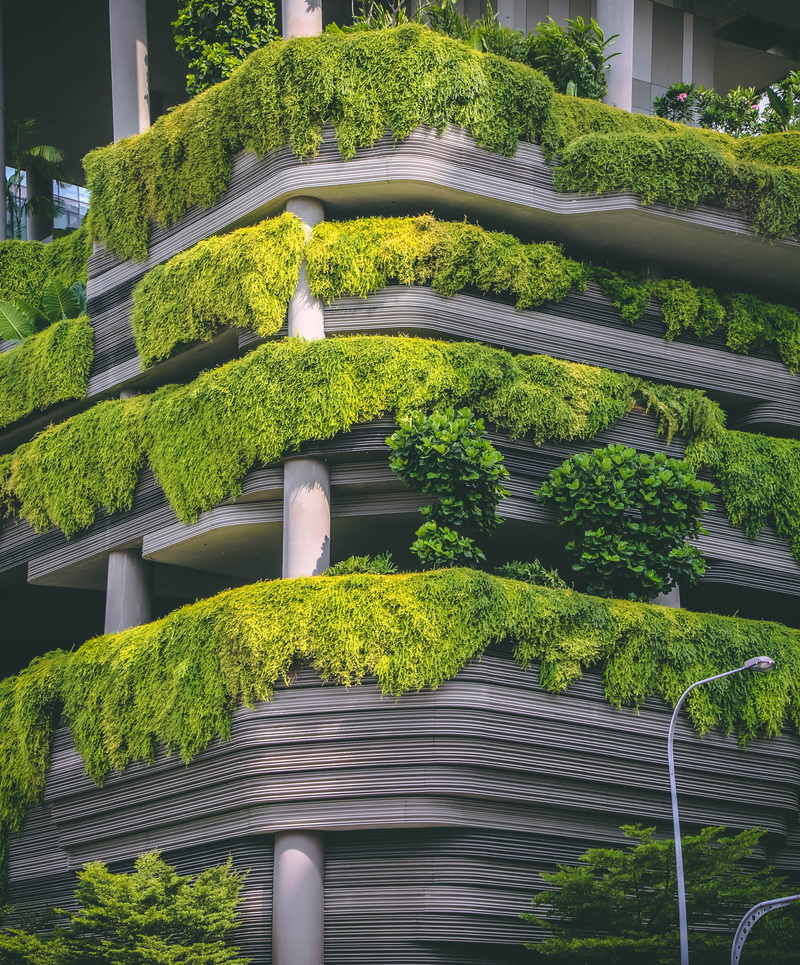 vegetation, garden, singapore, 4K, green color, conifer, jar, growth, outdoors, plant, beauty in nature, building exterior, architecture, day, building