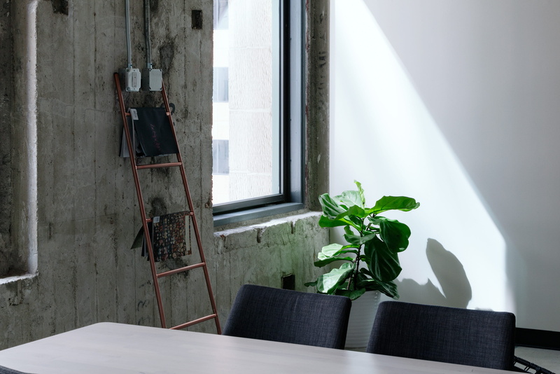 2K, leaf, indoors, window, office, leafed, street, houseplant, workspace, rectangular, california, interior, simplicity, linear, greenery, desk, flower
