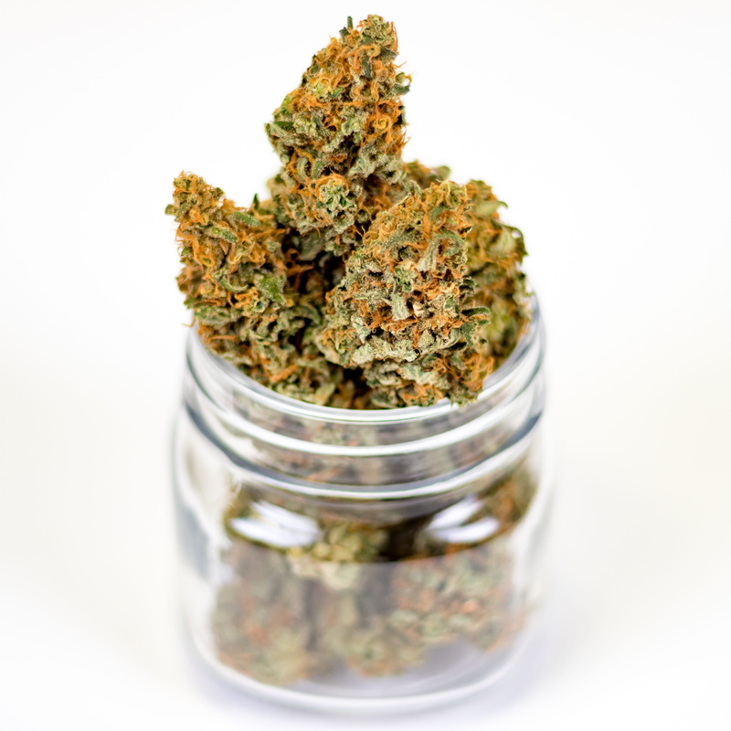 drug, seasoning, medical, white background, container, 4K, hemp, herbal medicine, marijuana - herbal cannabis, studio shot, close-up, food, medicinal