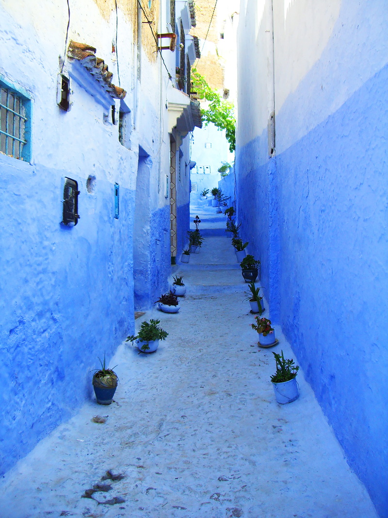 nature, no people, Morocco, narrow, arabic, Alley, passage, blue, house, diminishing perspective, blue houses, 4K, direction, wall, long, building exterior