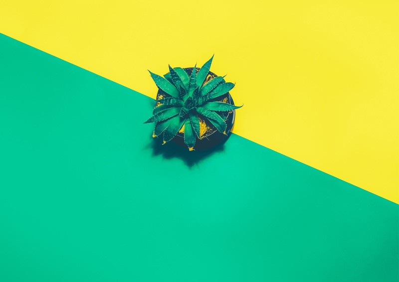 4K, Pineapple, Minimal, 4K