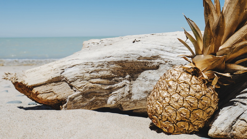 water, nature, horizon, rock, tranquility, land, beach, sky, photography, scenics - nature, no people, day, close-up, 4K, sunlight, tranquil scene, pineapples