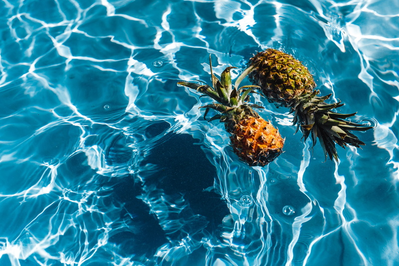 one animal, swimming pool, outdoors, sea, no people, top view, marine, pineapples, blue, close-up, fruits, animals in the wild, waterfront, copyspace, beauty in nature